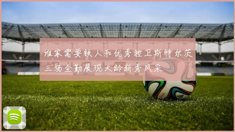 谁家需要铁人和优秀控卫斯特尔茨三场全勤展现大龄新秀风采
